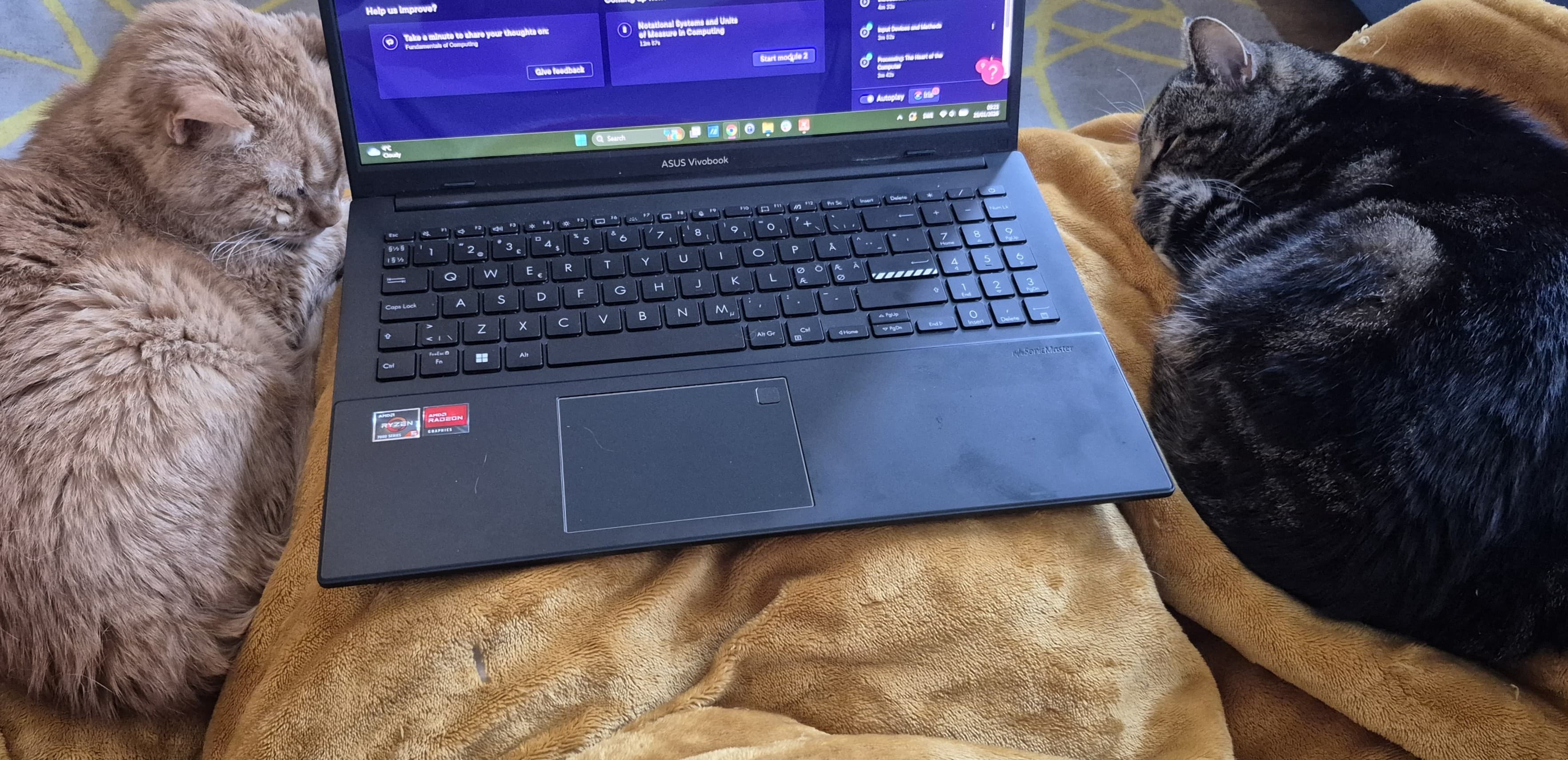 Poppy and Garfield