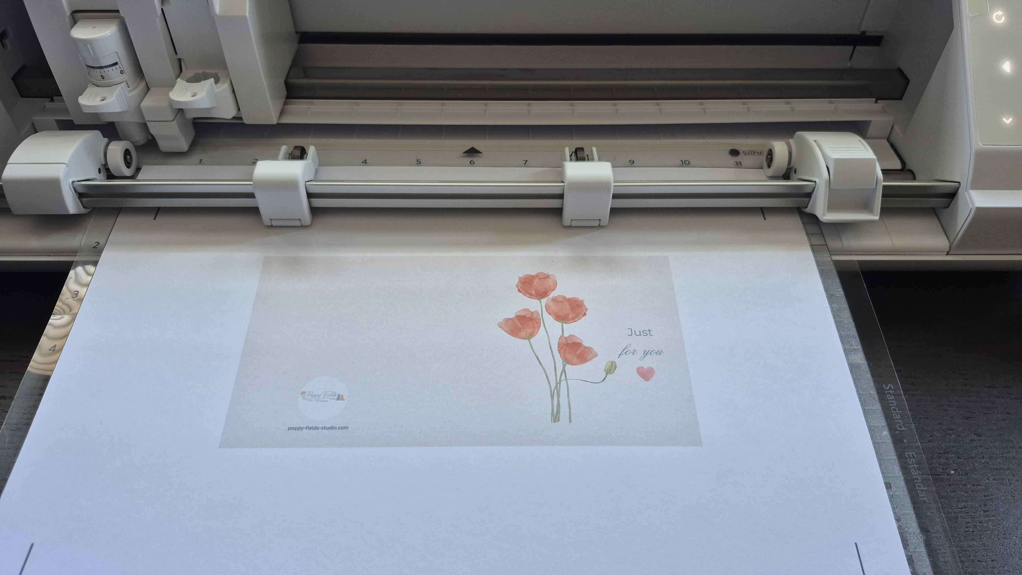 Silhouette Cameo Alpha